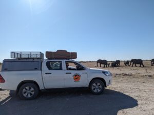 Toyota Hilux 4x4 rental car with rooftop tent and roofrack infront of waterhole with elephants in background