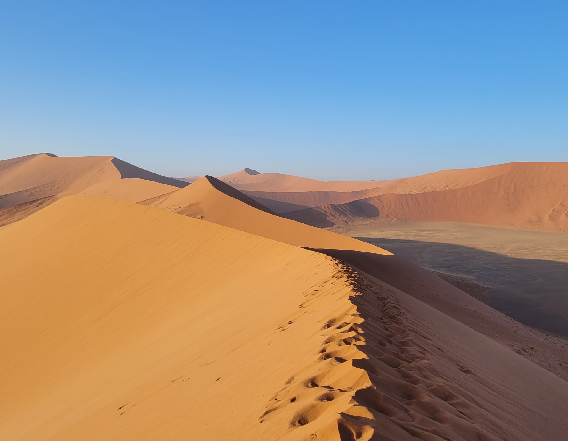 Dune in Namibia