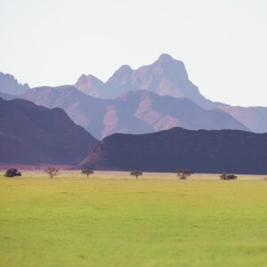 Namibian landscape with green grass and mountains