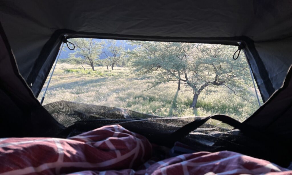 View from inside rooftop tent into sunrise over acacia trees